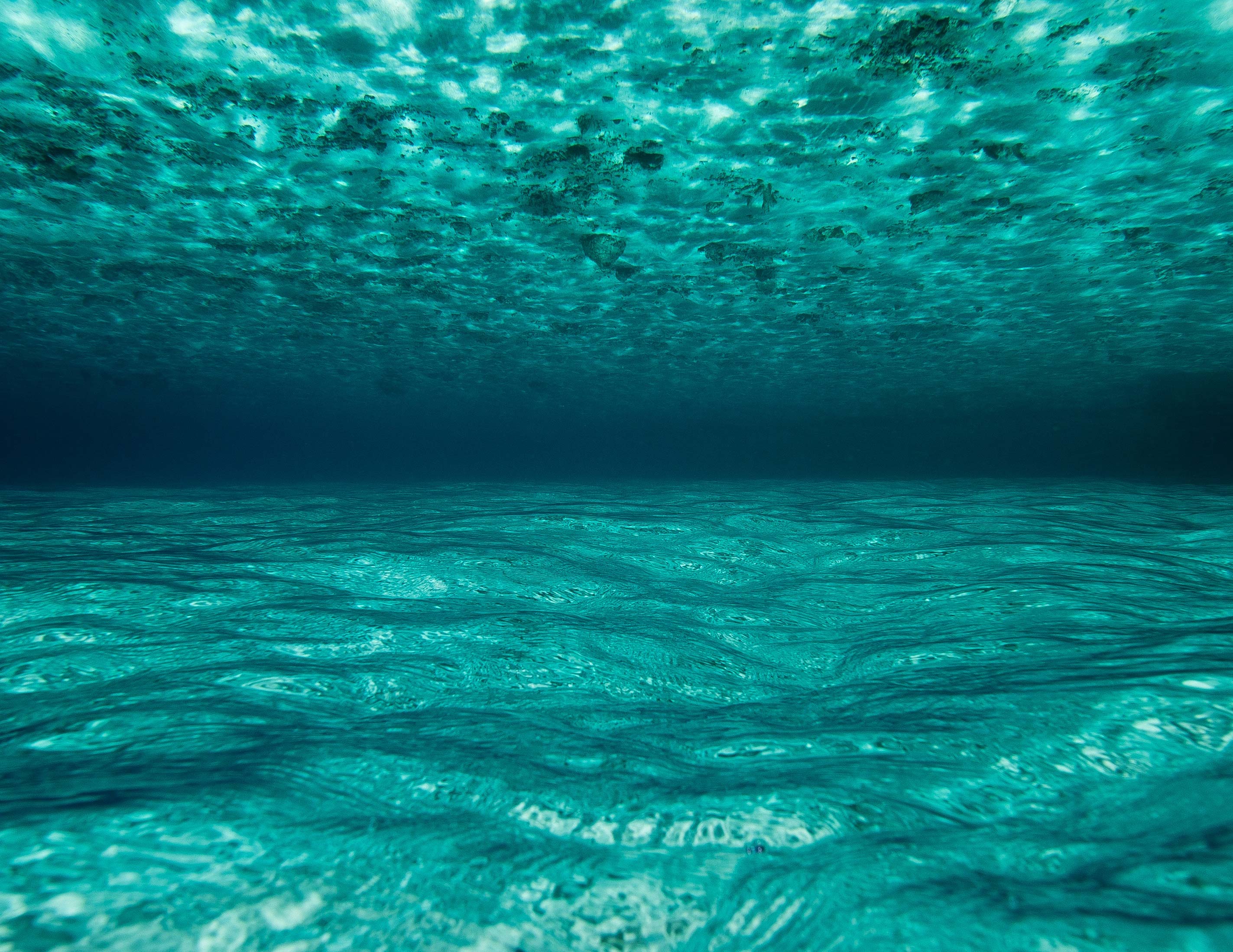 Aqua Ocean Floor