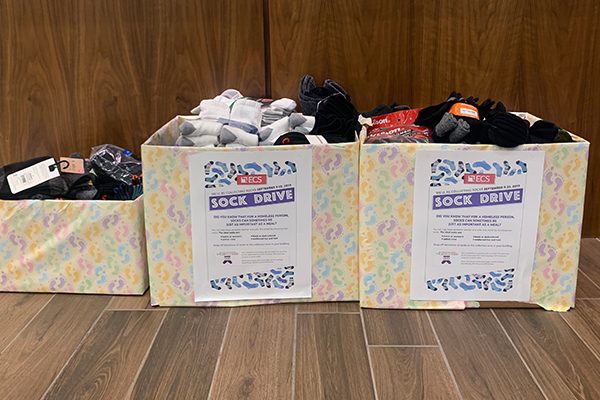 hayley_blog_gallery_13